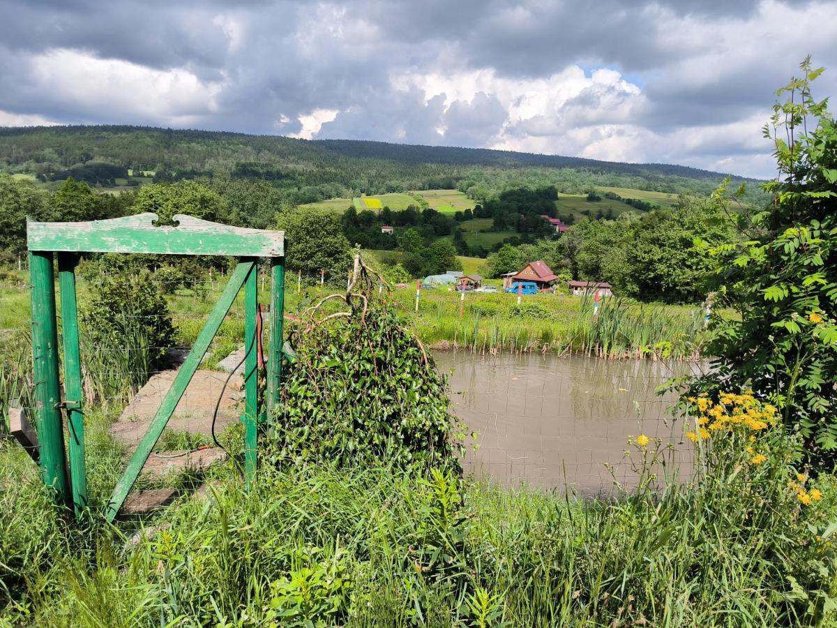 Agroturystyka Odnowica U Pawla Exterior foto